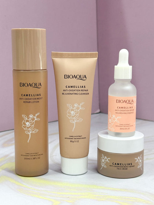 KIT CAMELIAS X4