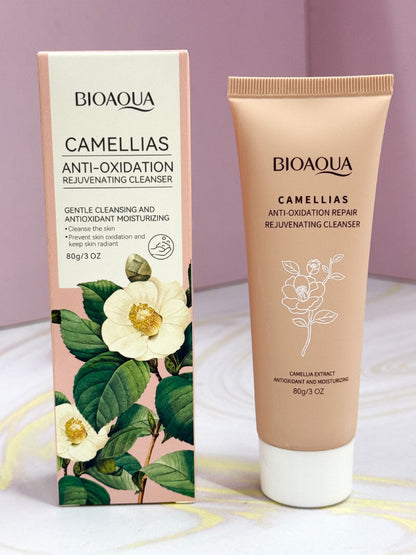 KIT CAMELIAS X4