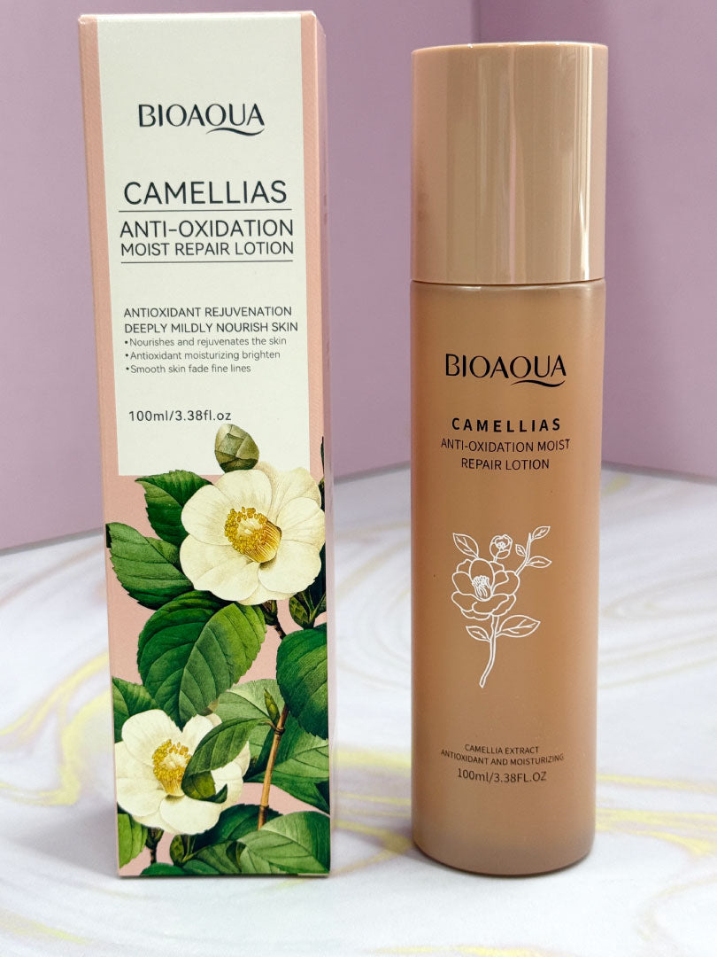 KIT CAMELIAS X4