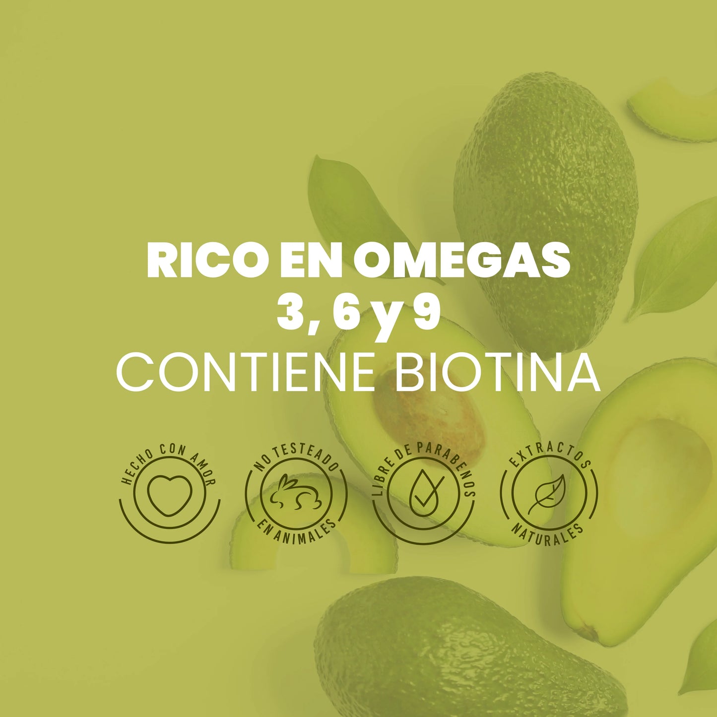SHAMPOO CON AGUACATE ANYELUZ 500ml