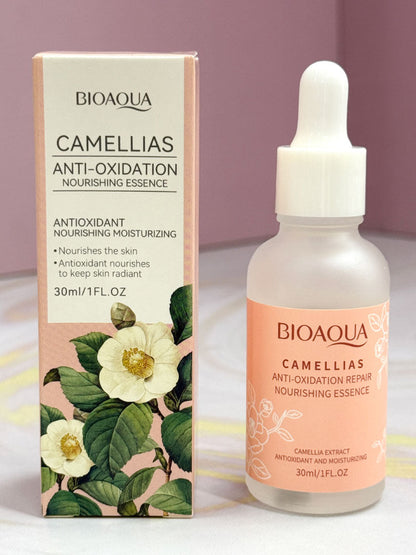 KIT CAMELIAS X4